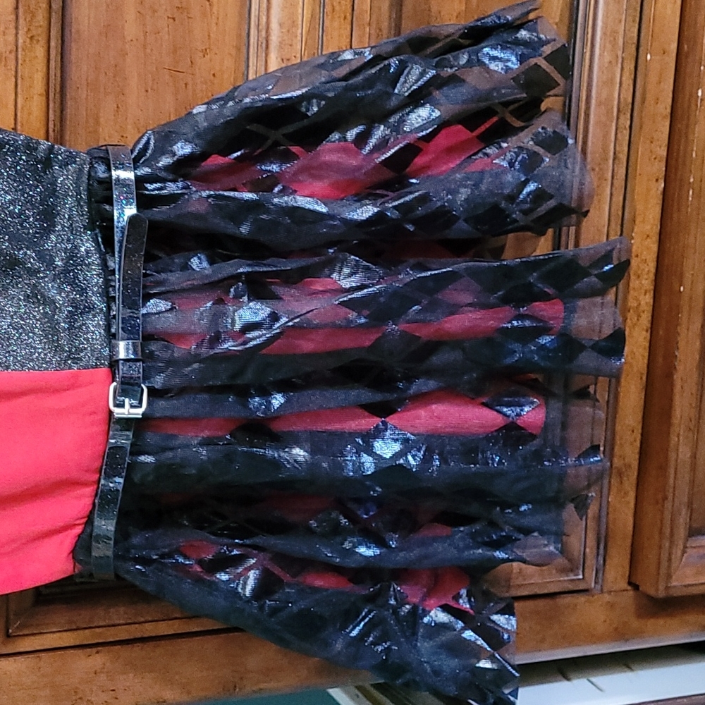Harley Quinn Dress and accessories - Picture 2 of 5